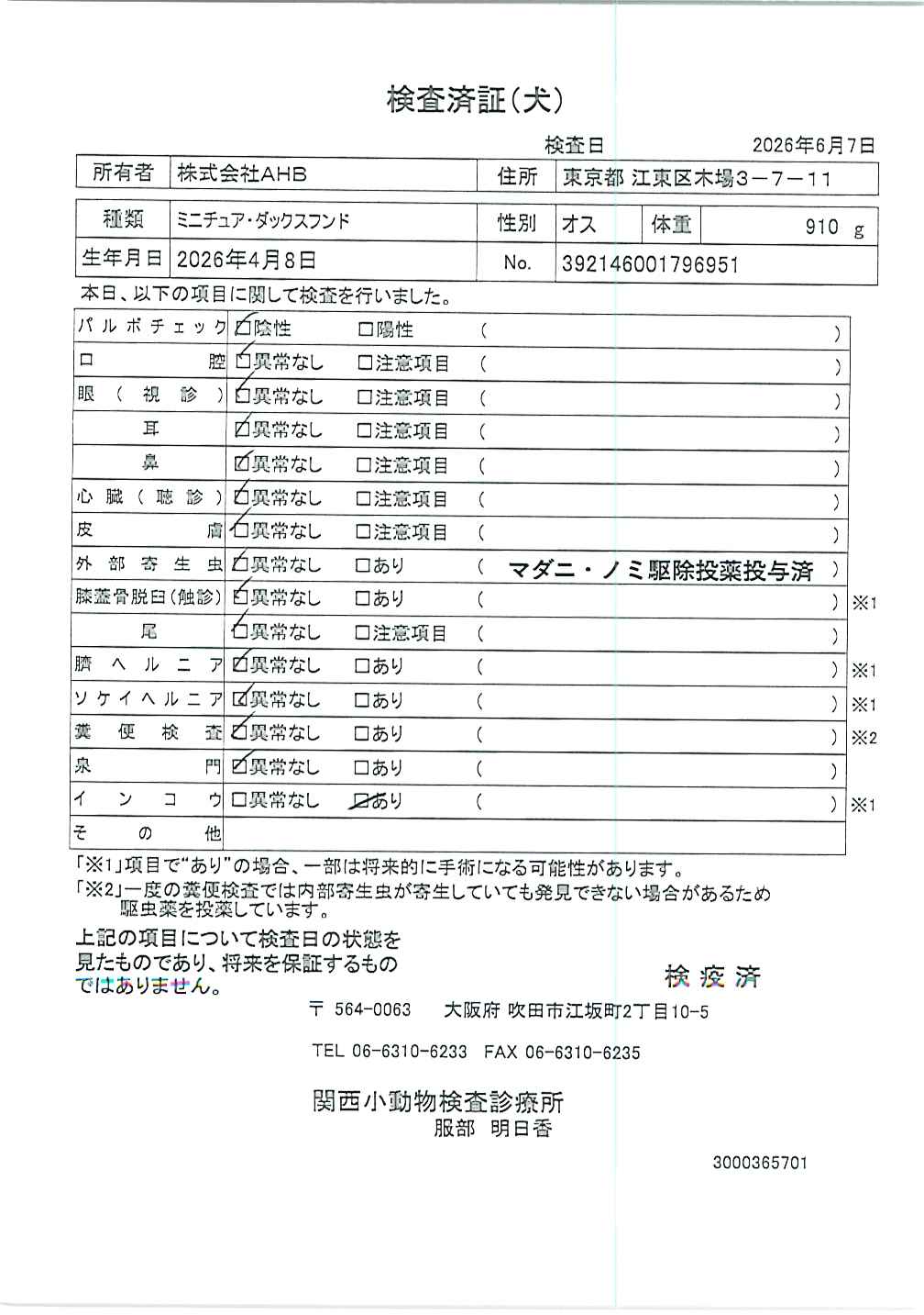 ミニチュア・ダックスフンド
