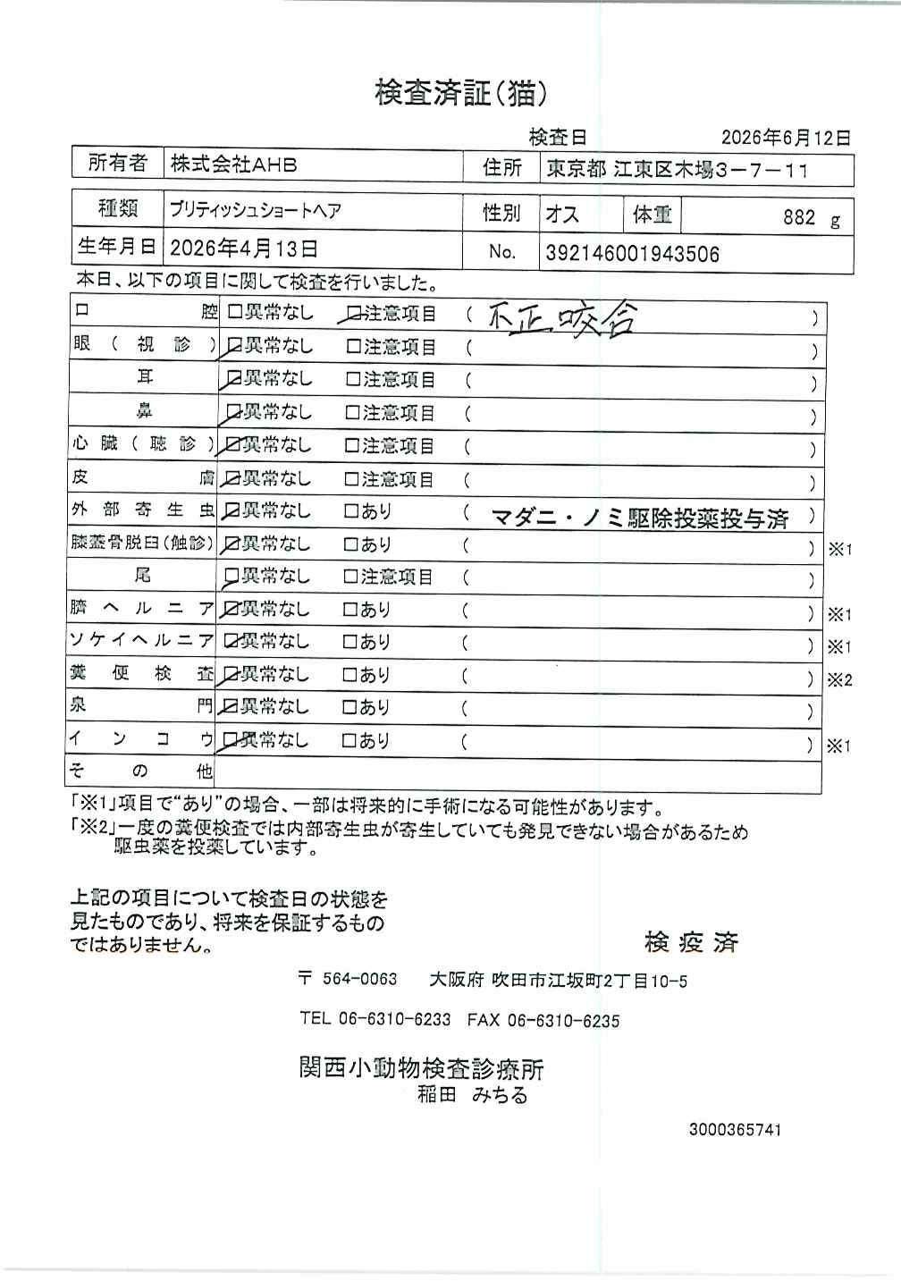 ブリティッシュショートヘア