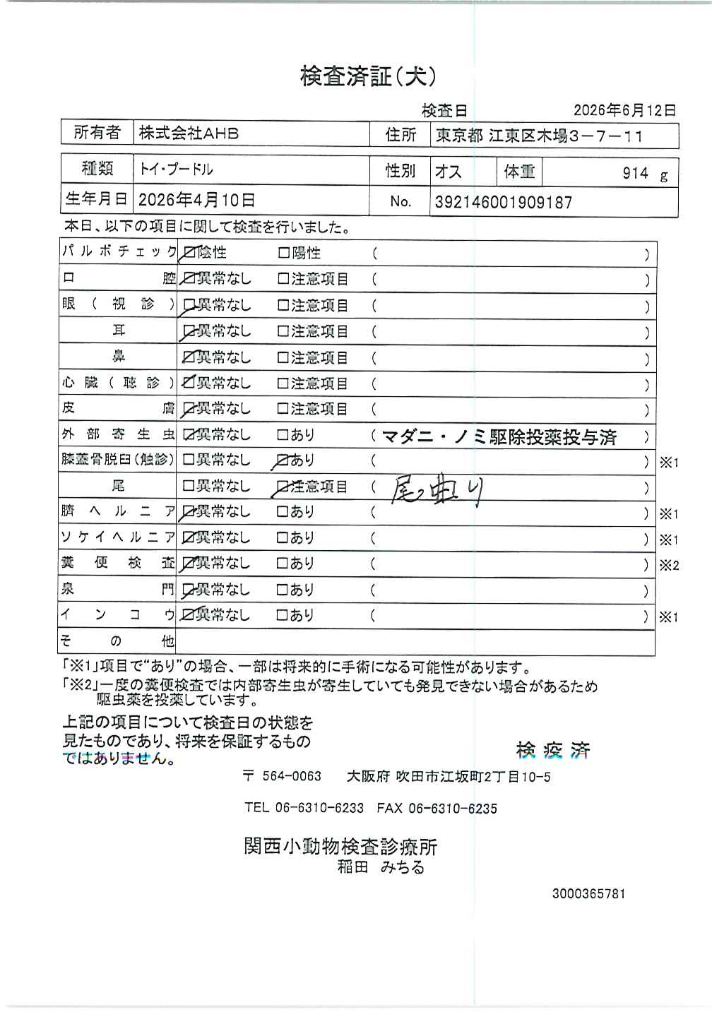 トイ・プードル