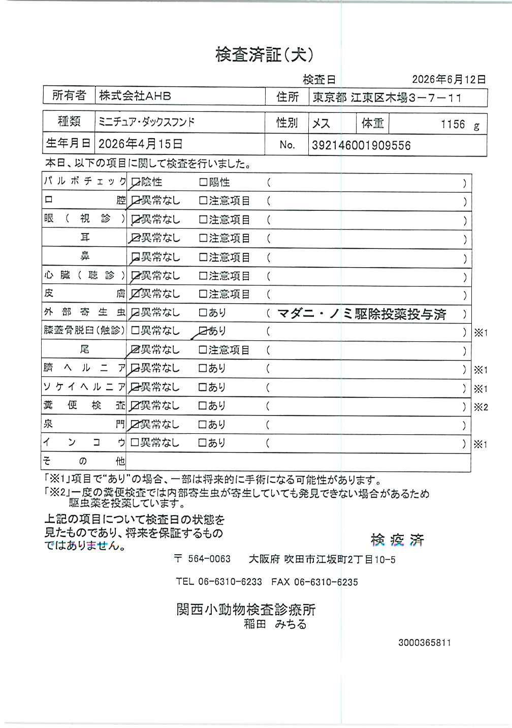 ミニチュア・ダックスフンド