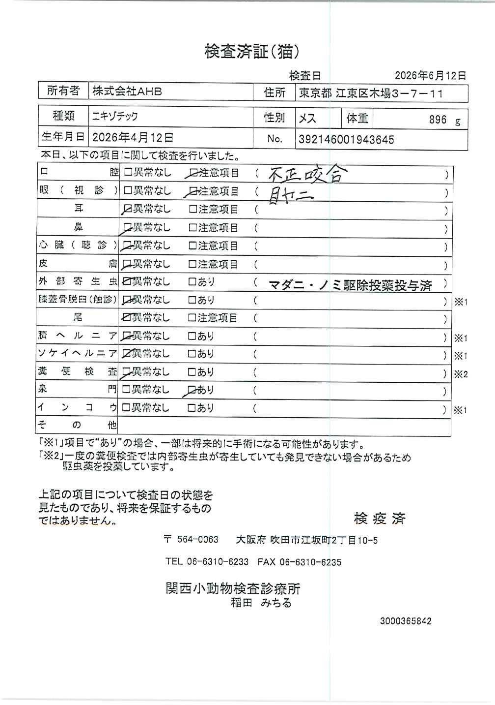 エキゾチック