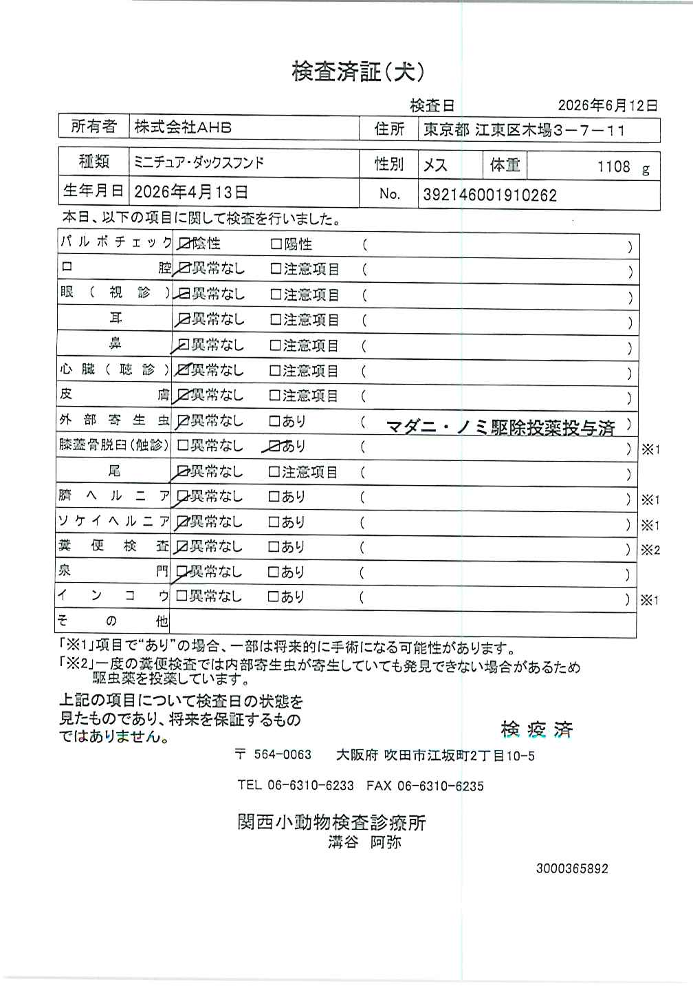 ミニチュア・ダックスフンド