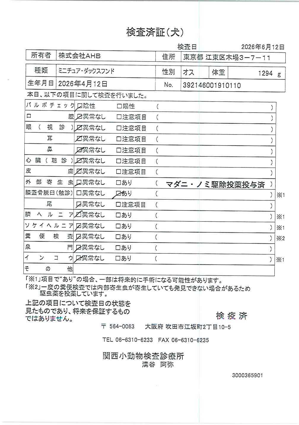 ミニチュア・ダックスフンド
