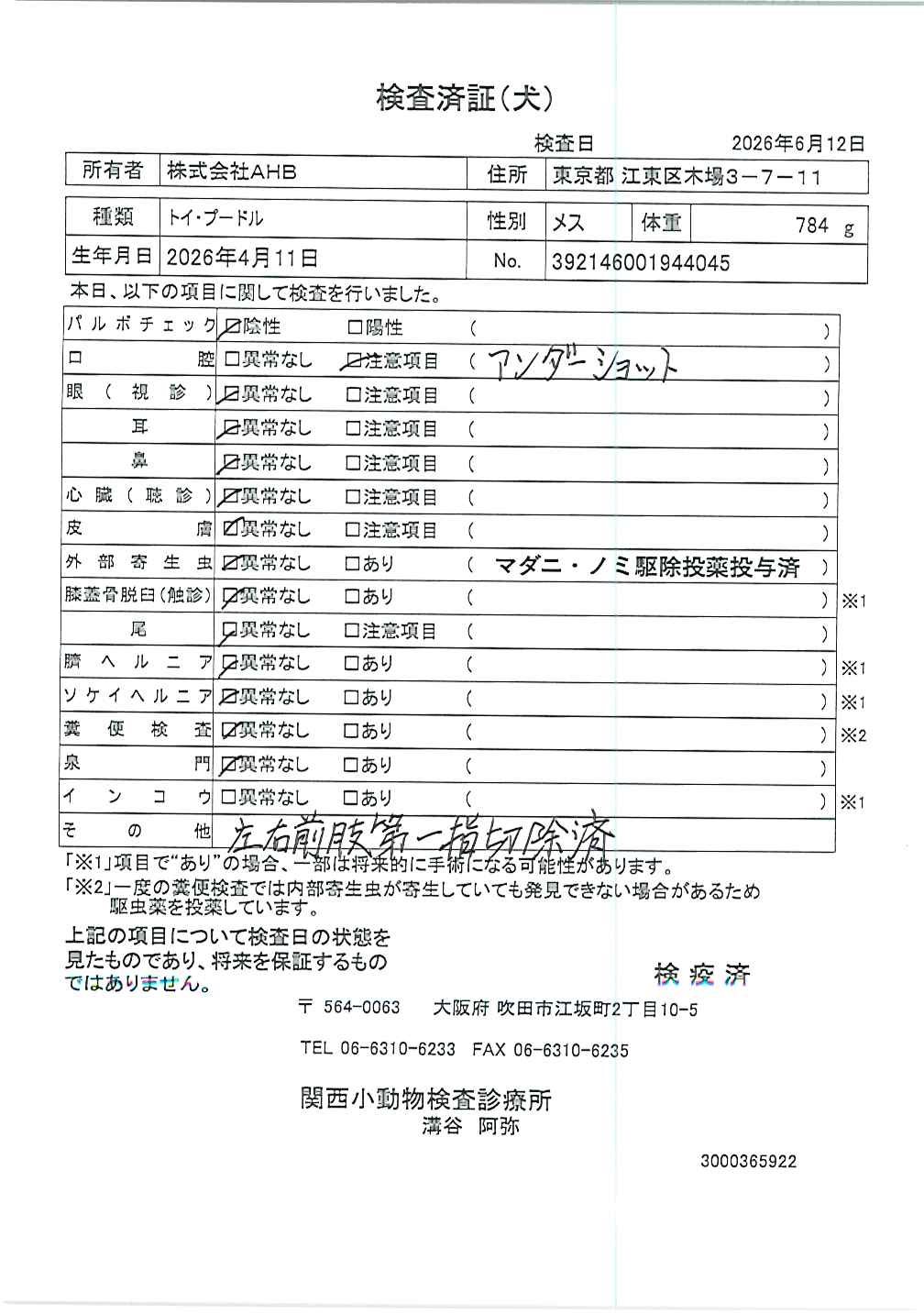 トイ・プードル