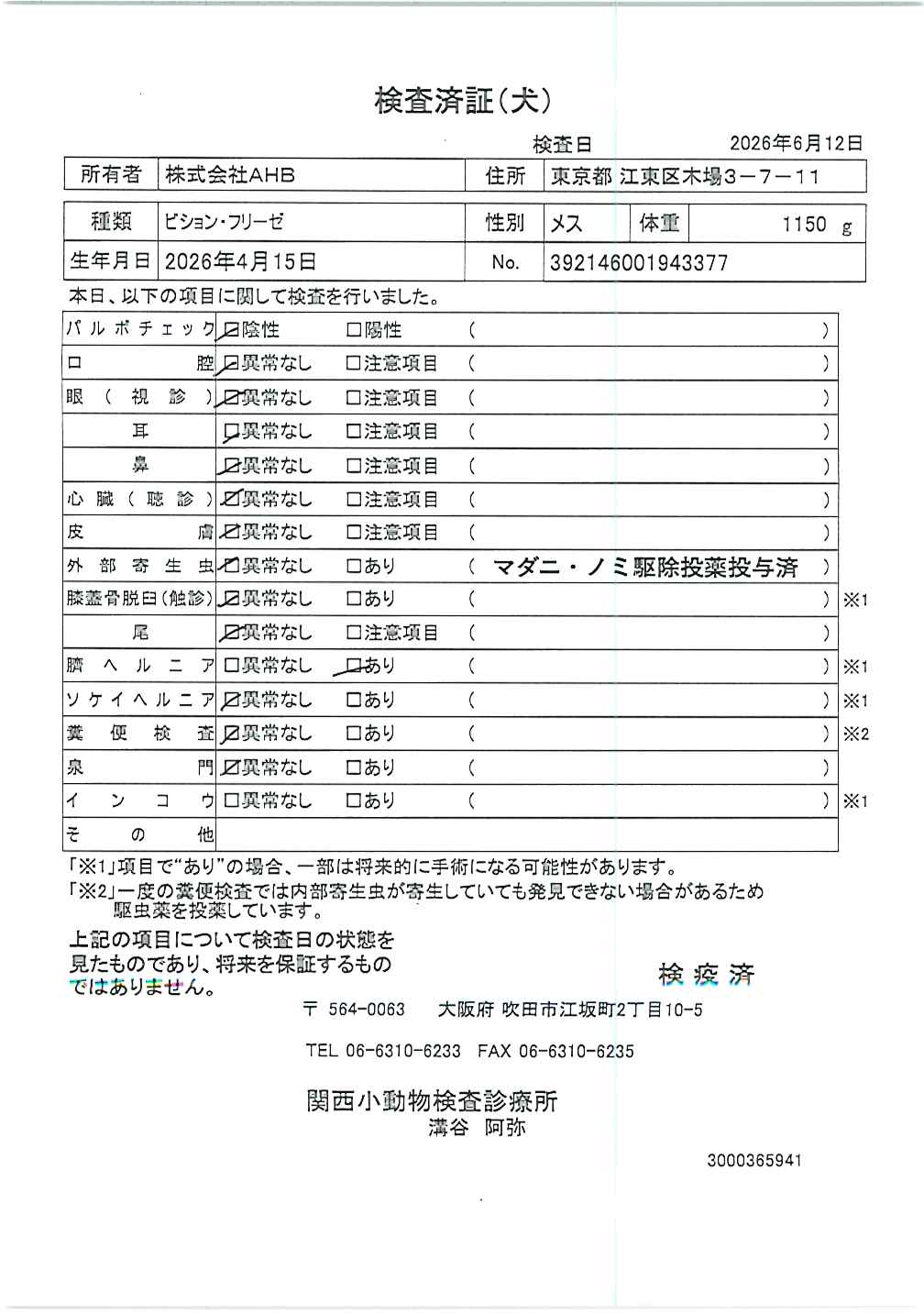 ビション・フリーゼ