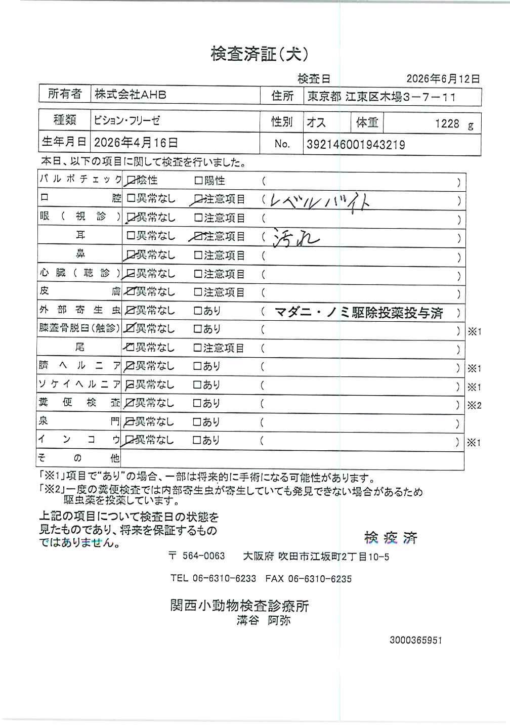 ビション・フリーゼ