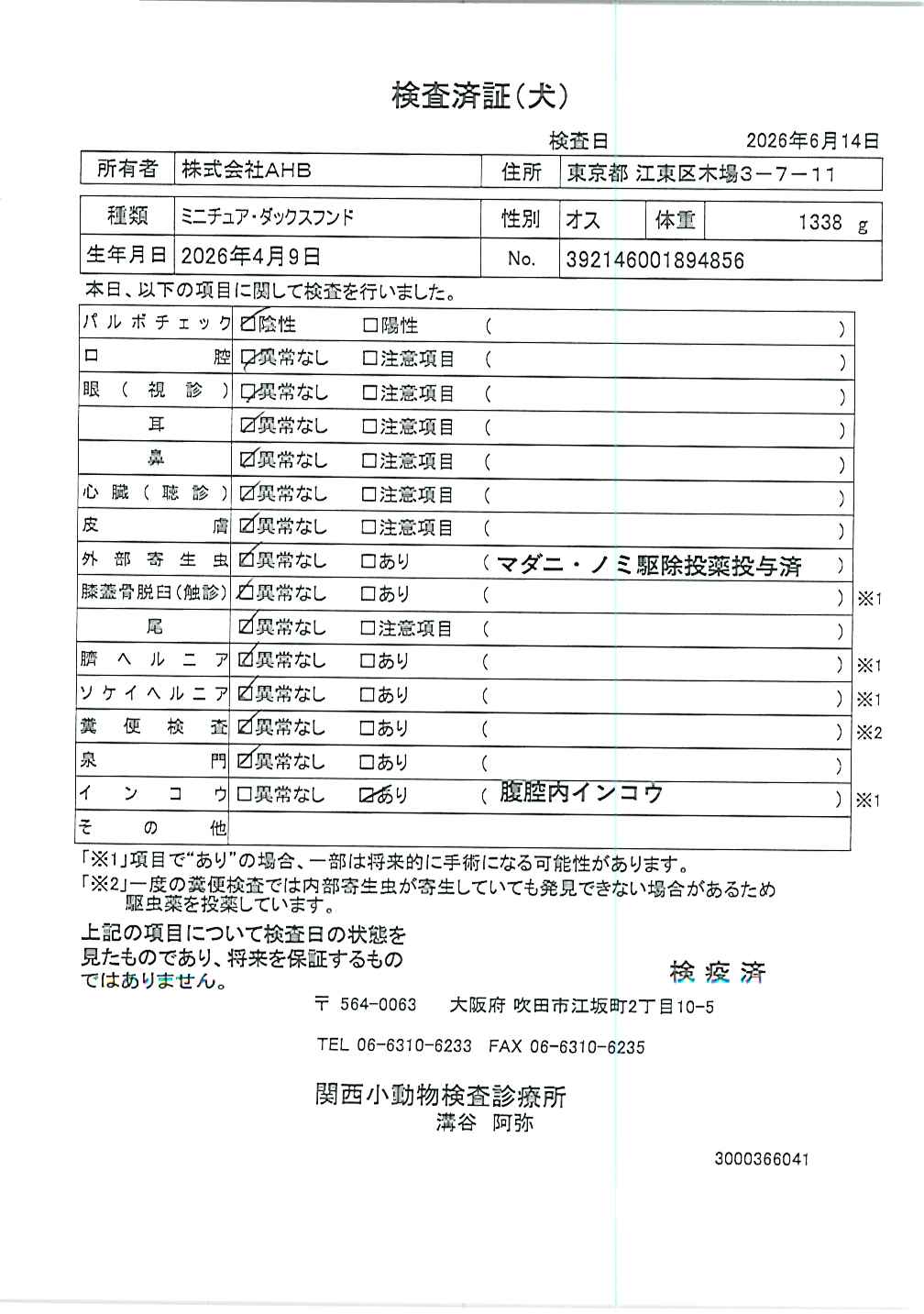 ミニチュア・ダックスフンド