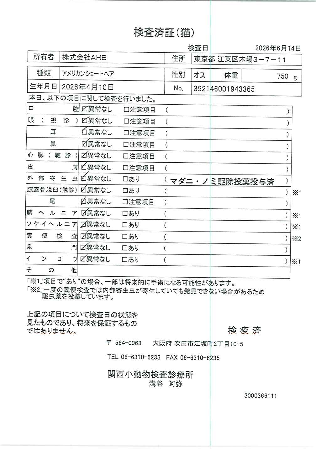 アメリカンショートヘア