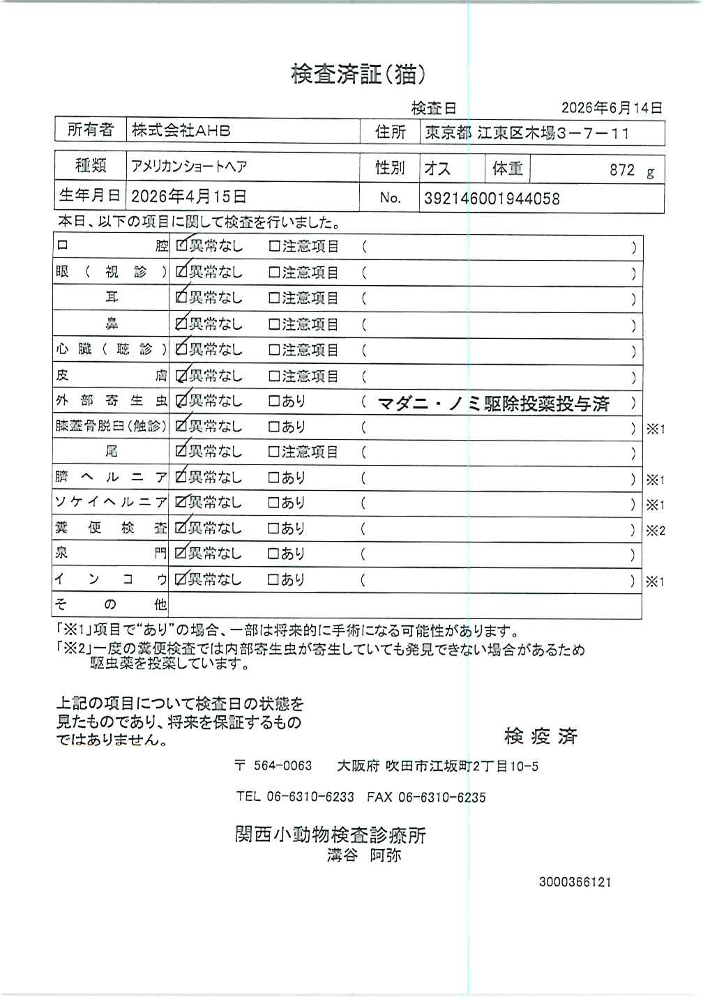 アメリカンショートヘア