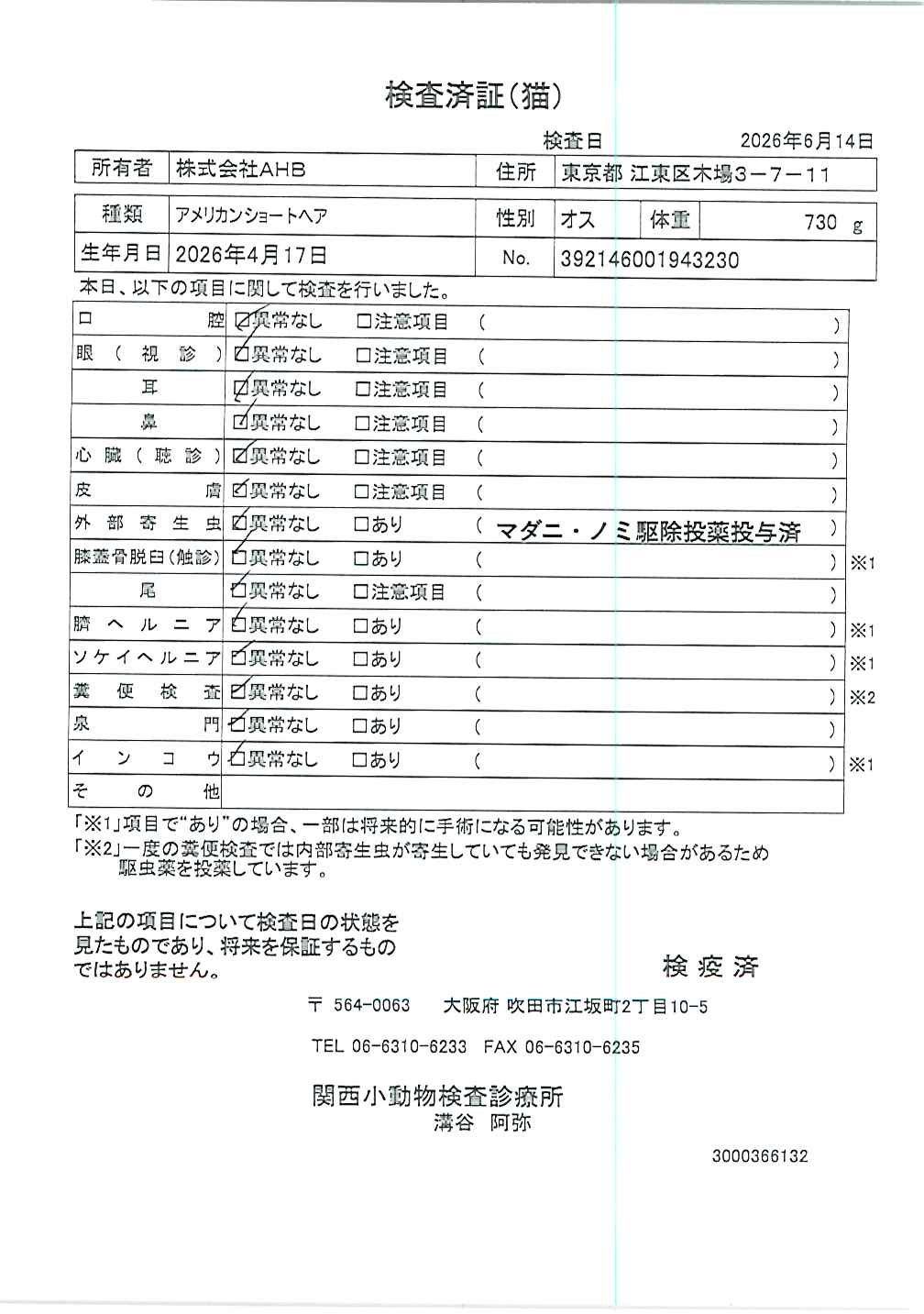 アメリカンショートヘア