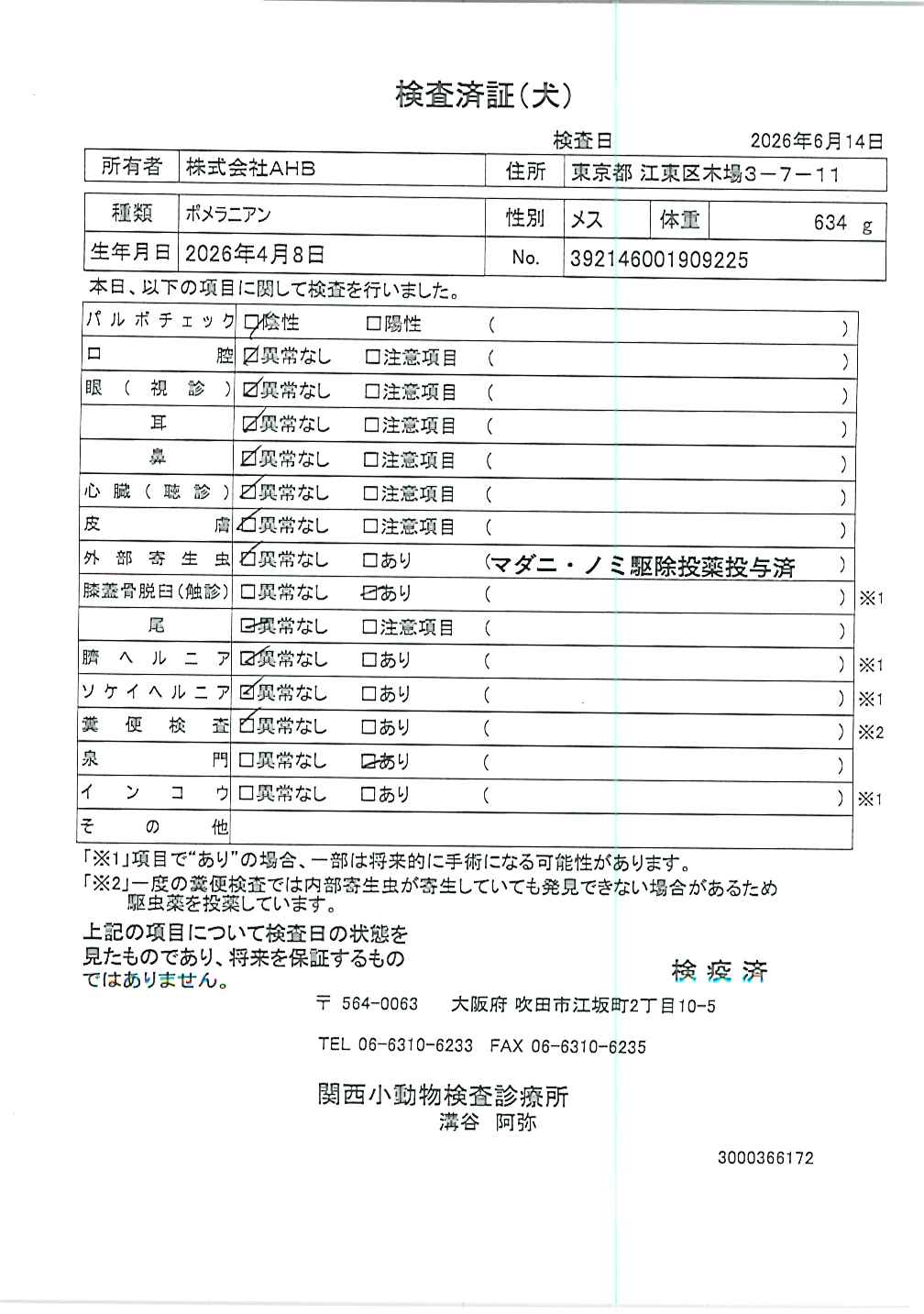 ポメラニアン