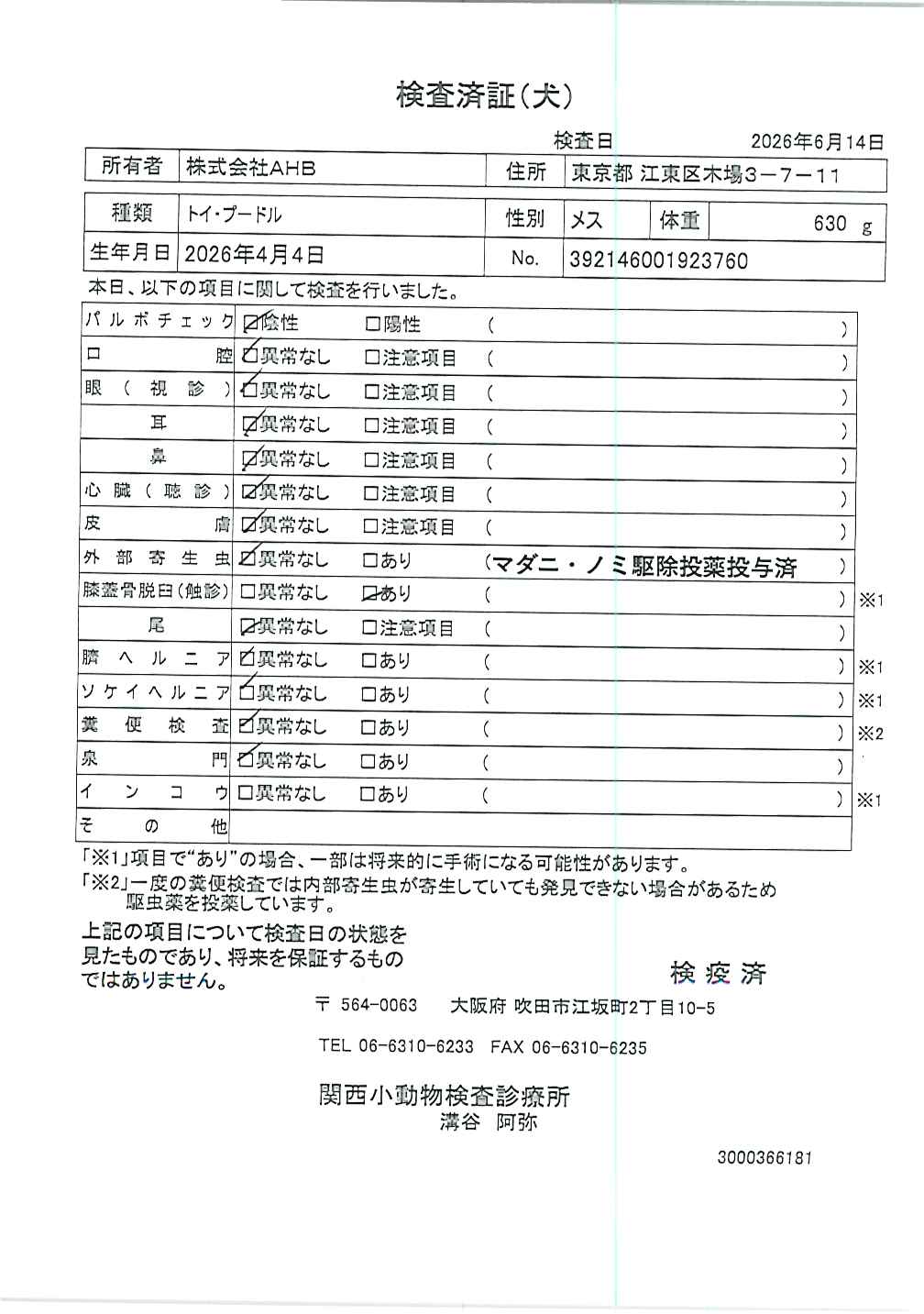 トイ・プードル