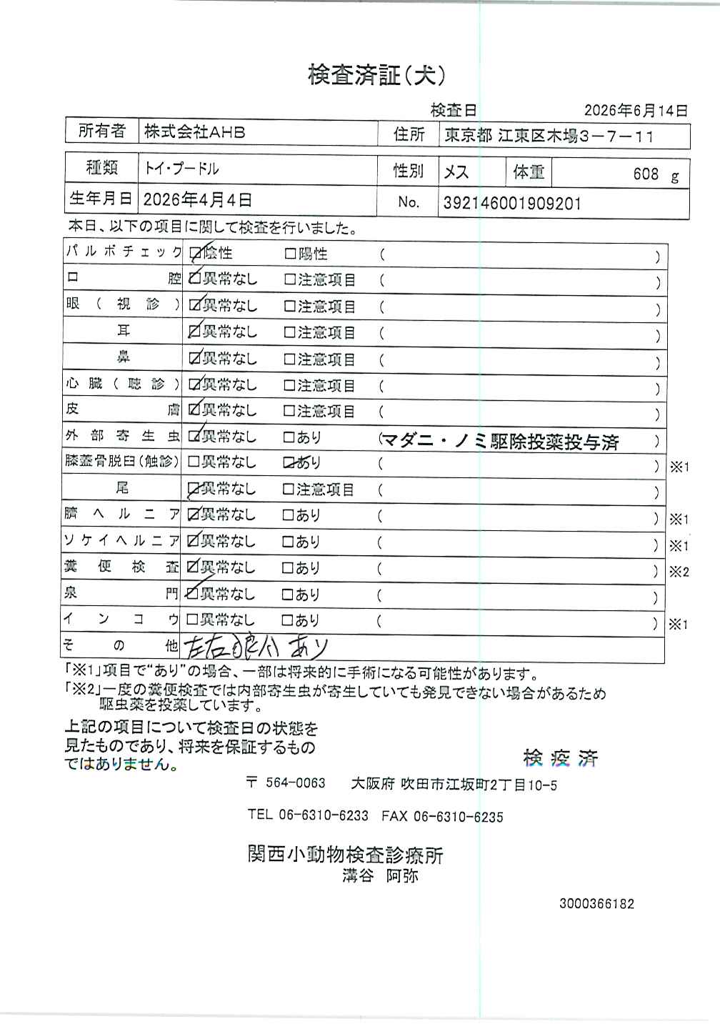 トイ・プードル