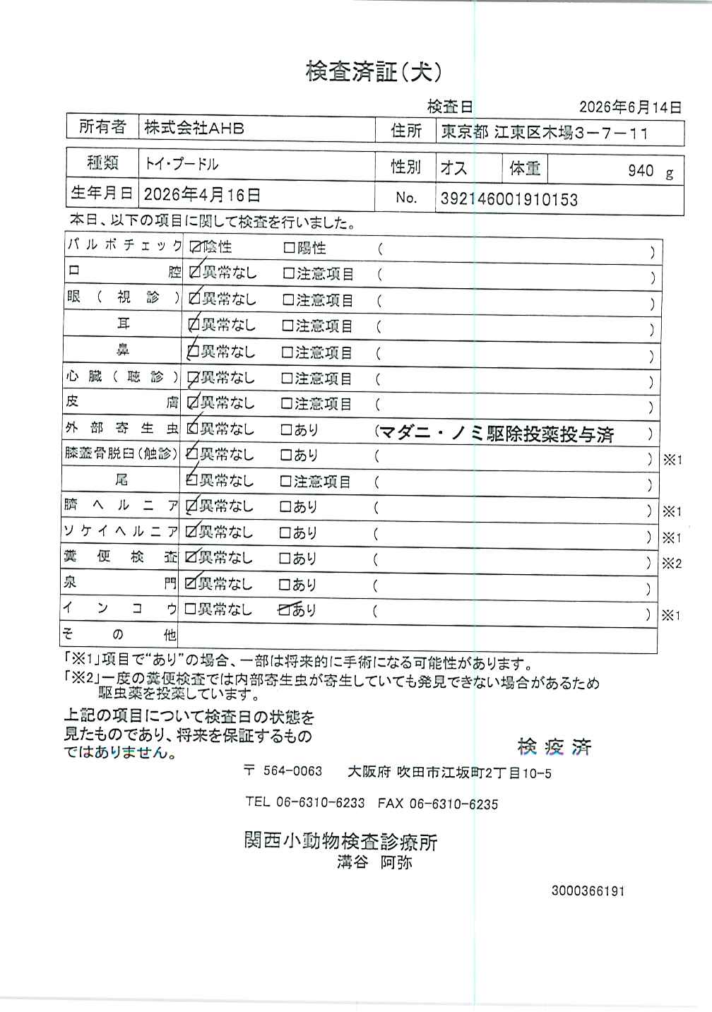 トイ・プードル