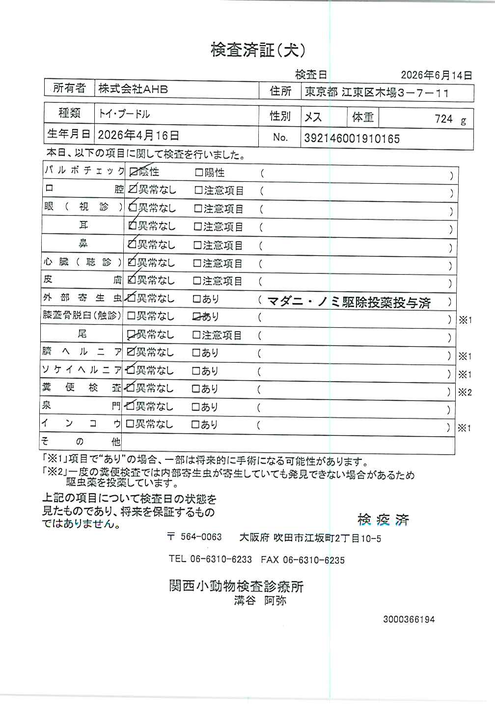 トイ・プードル
