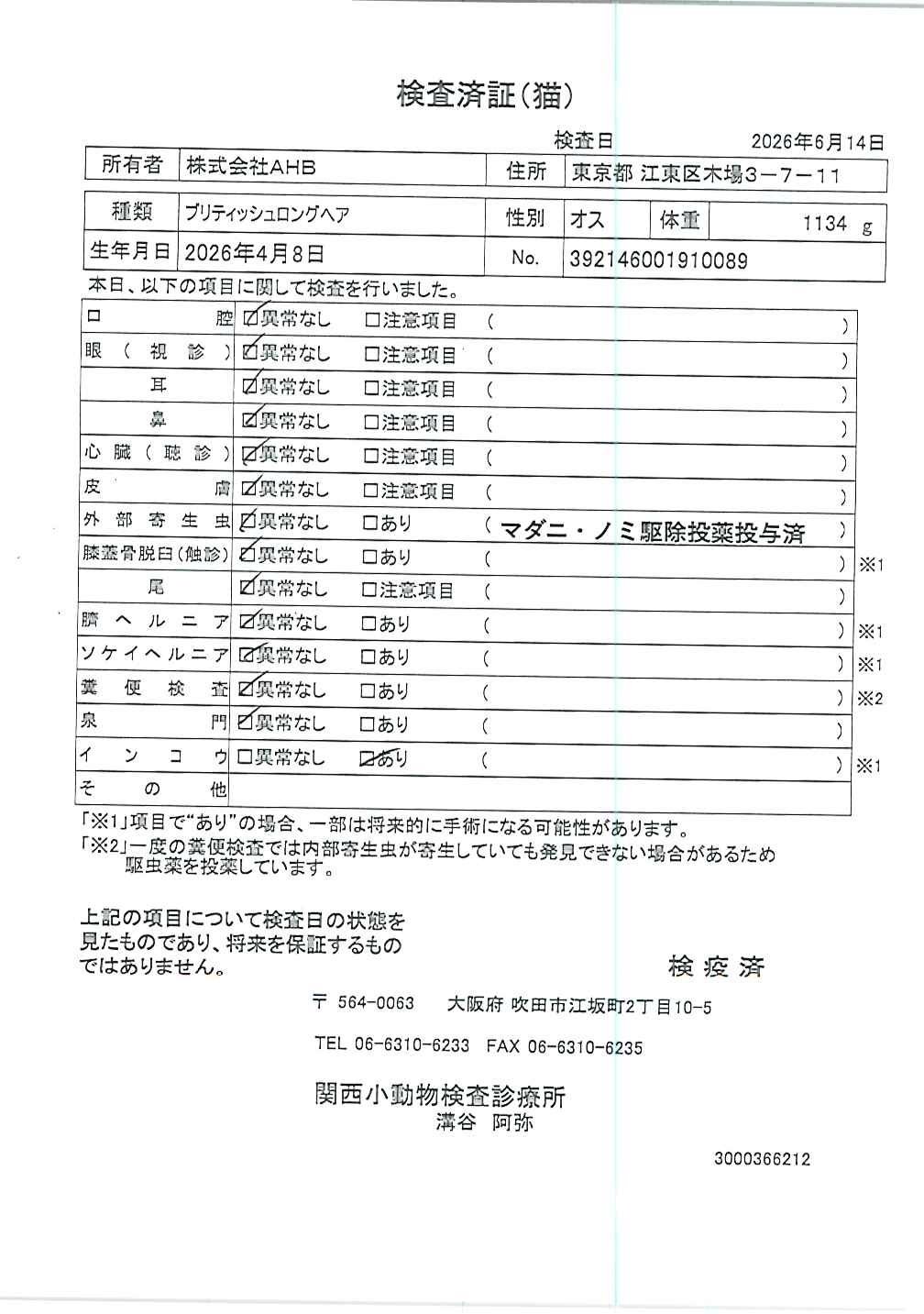 ブリティッシュロングヘア