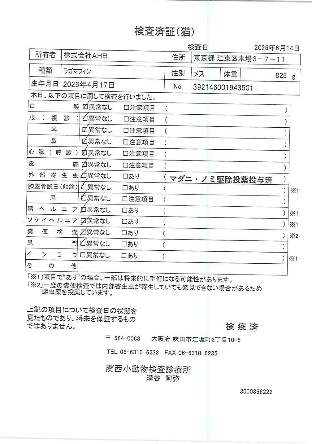 ラガマフィン