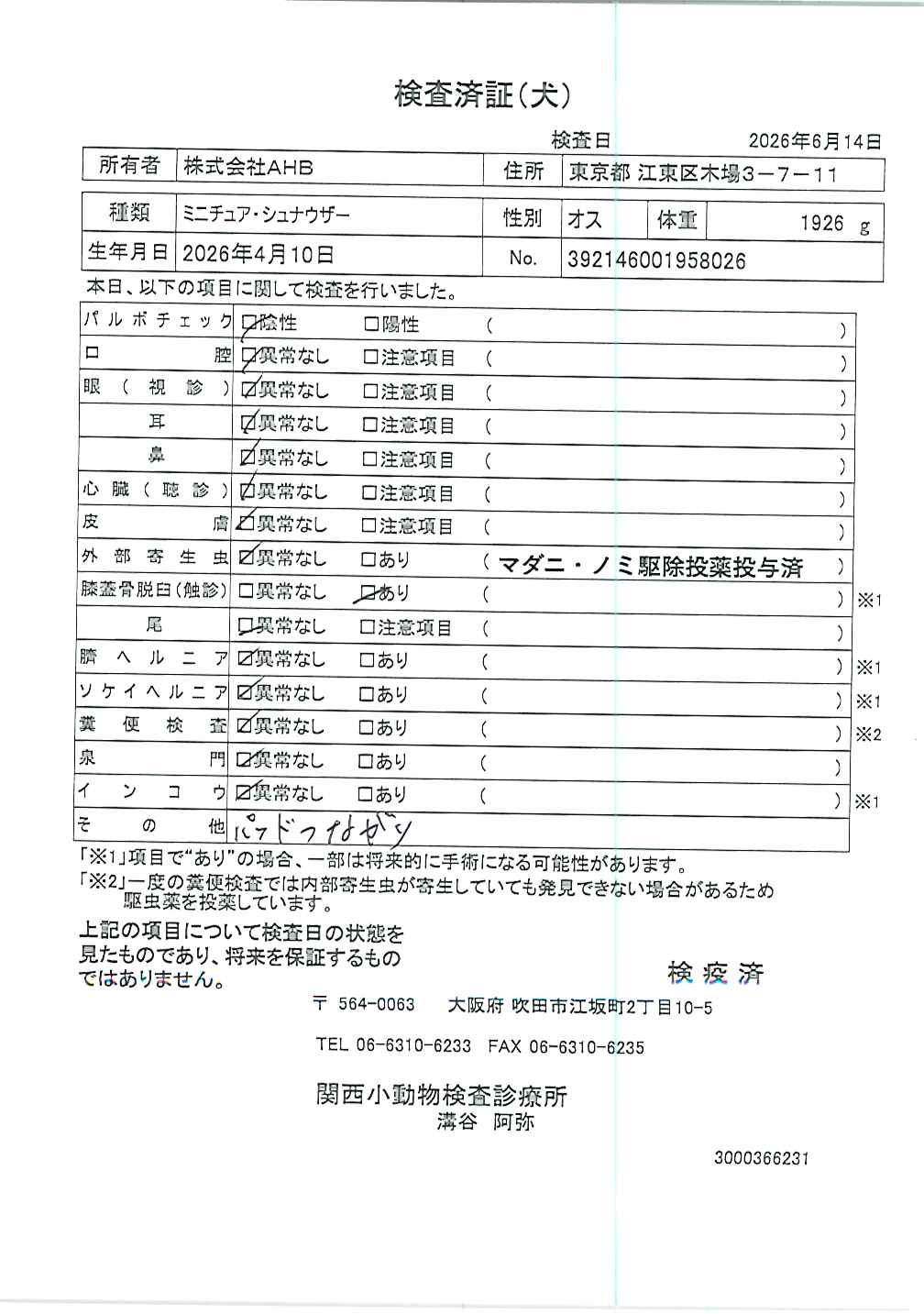 ミニチュア・シュナウザー