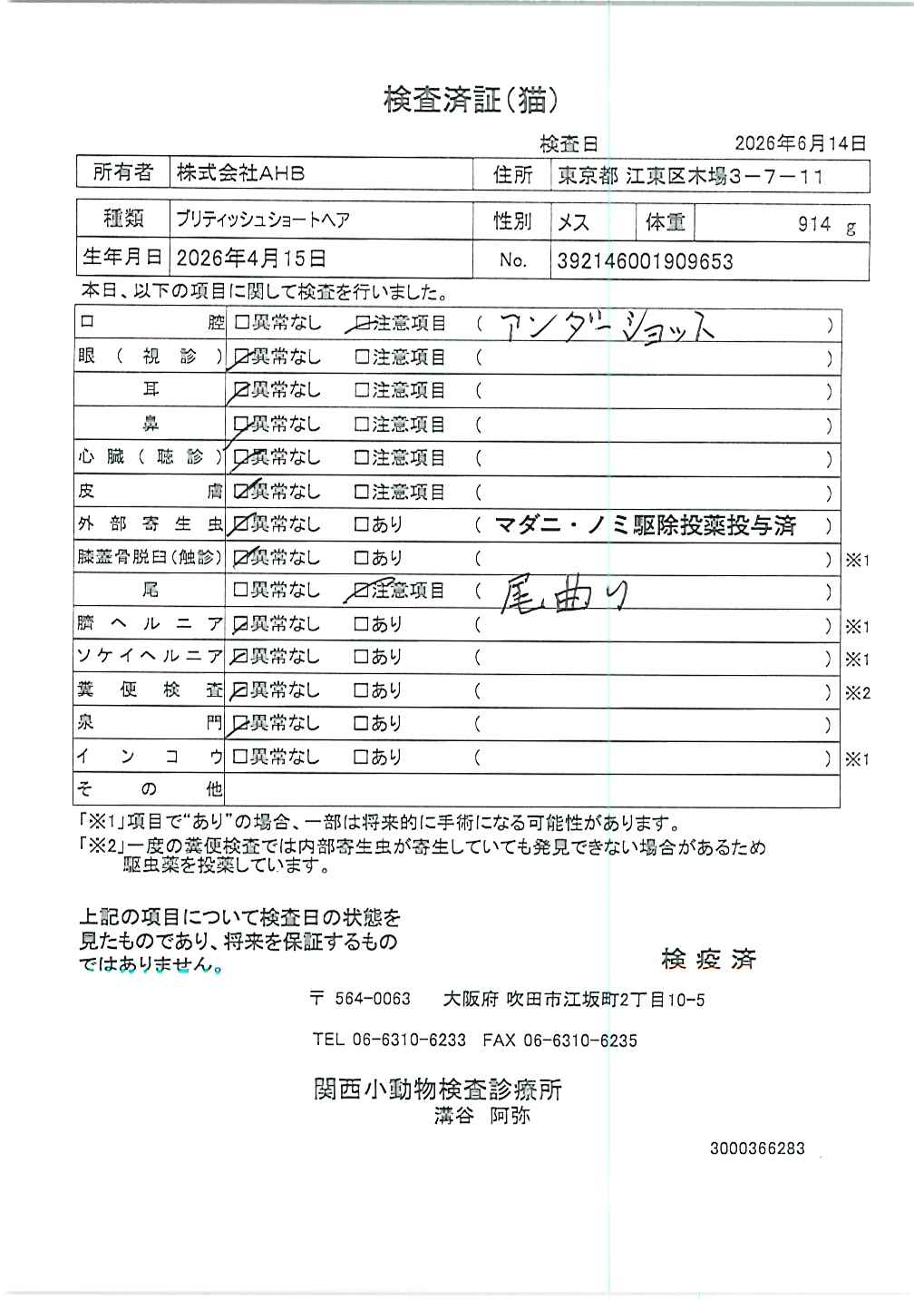 ブリティッシュショートヘア
