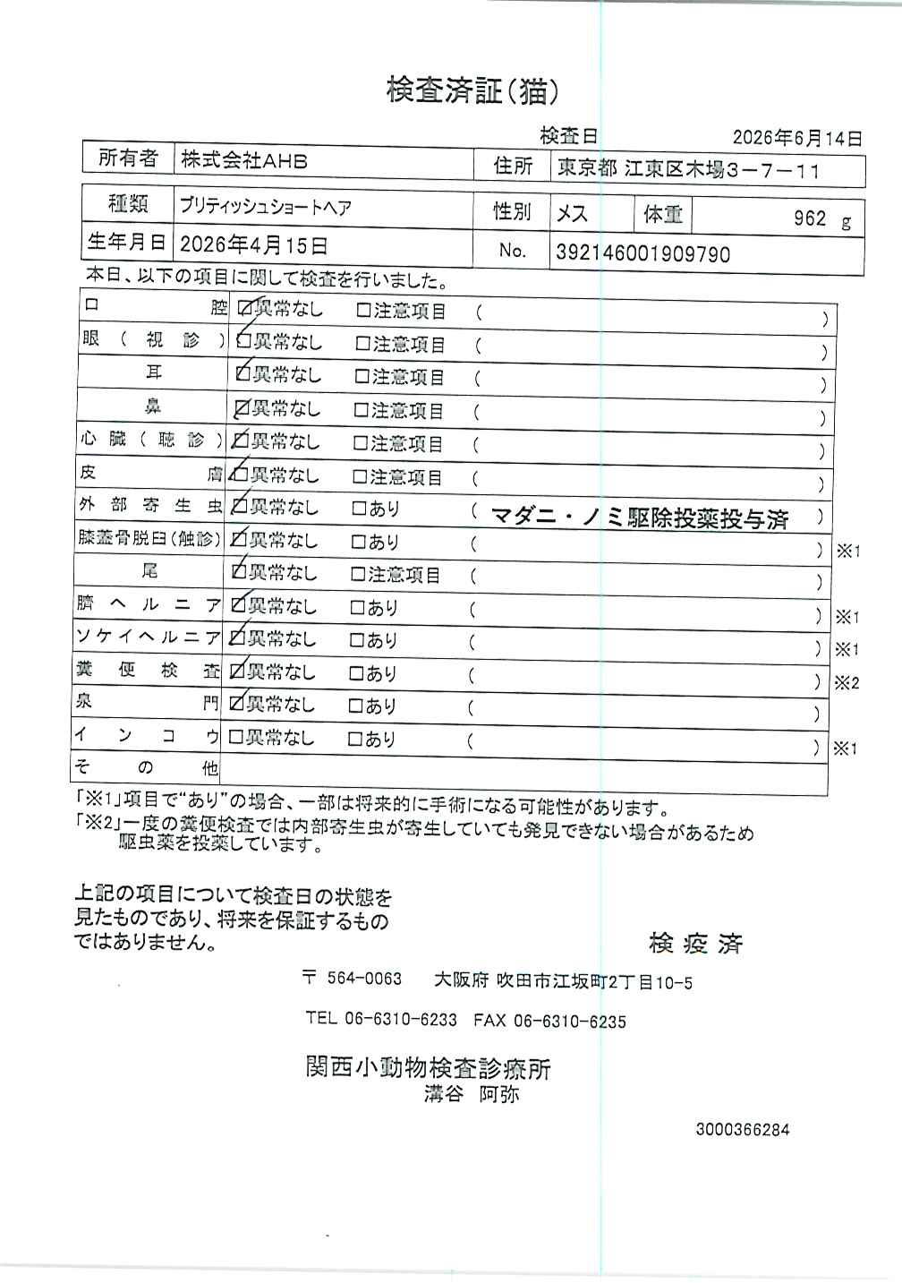 ブリティッシュショートヘア