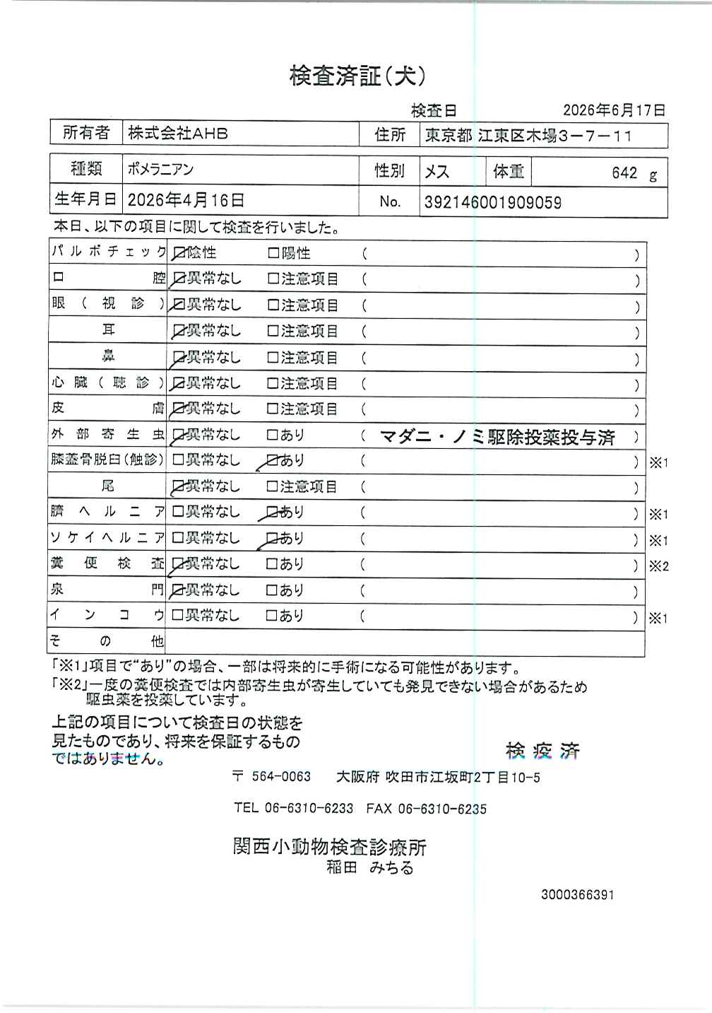 ポメラニアン