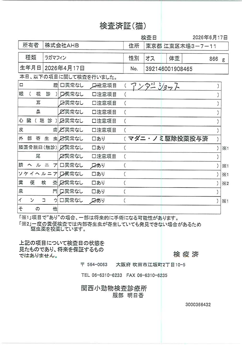 ラガマフィン