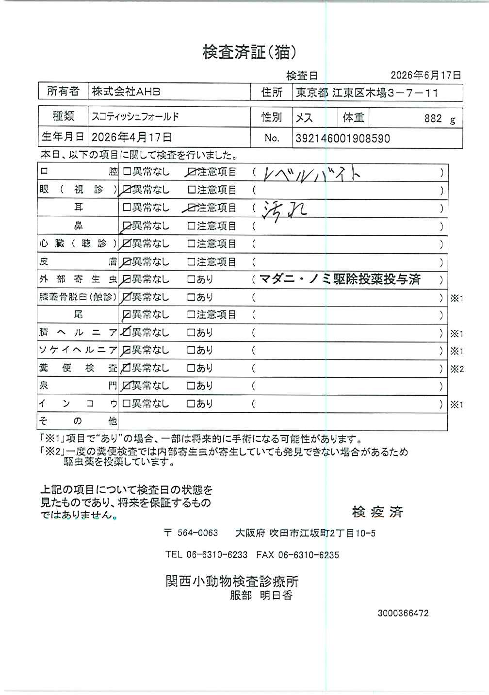 スコティッシュフォールド