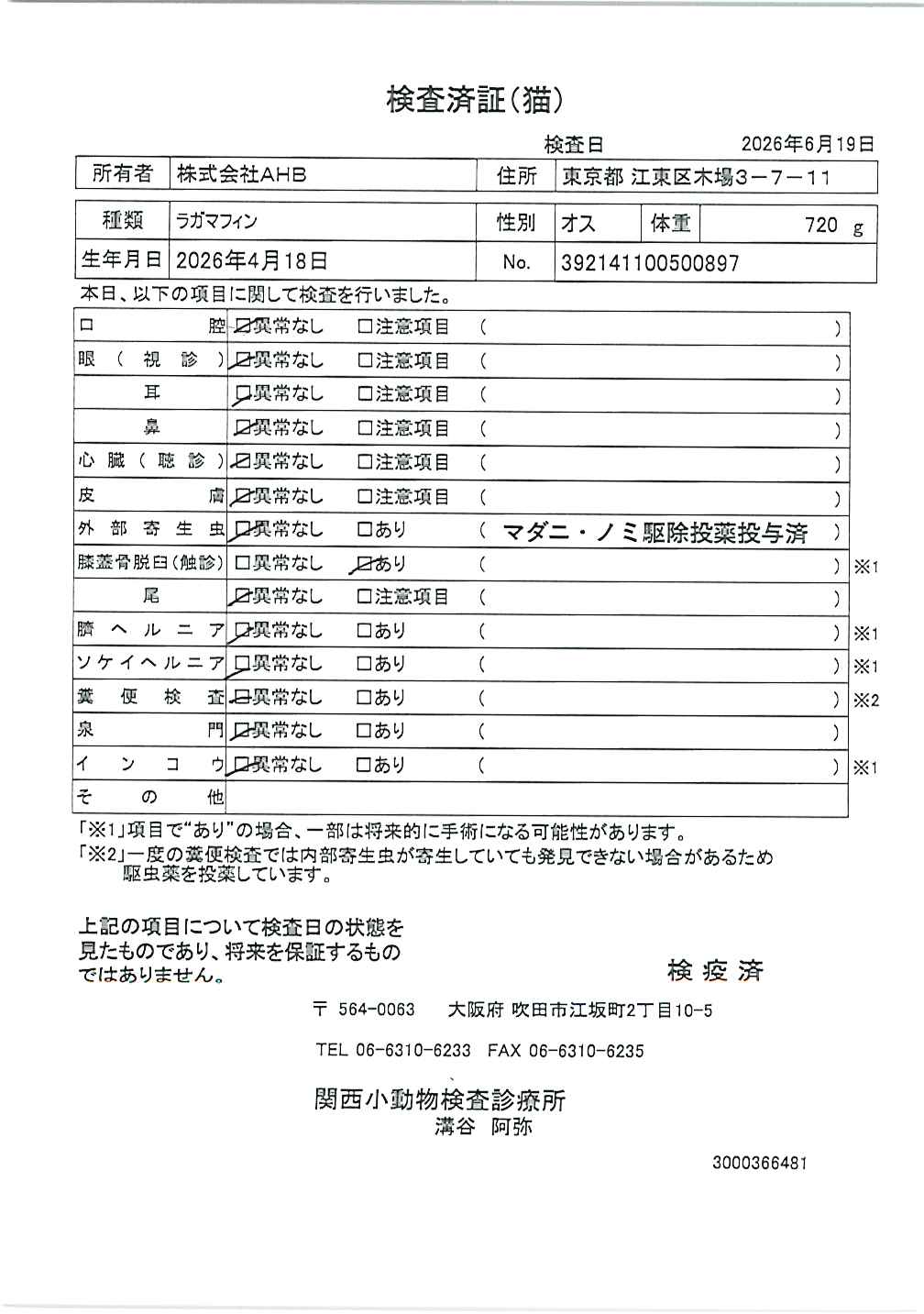 ラガマフィン