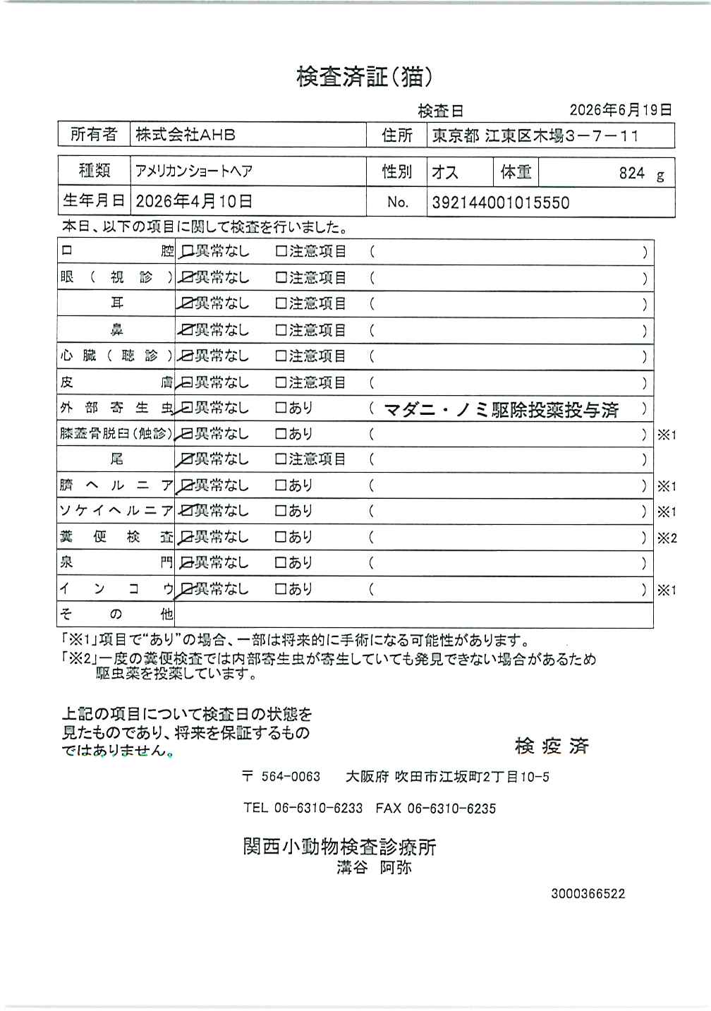 アメリカンショートヘア