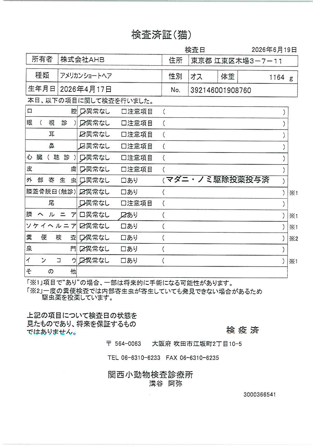 アメリカンショートヘア