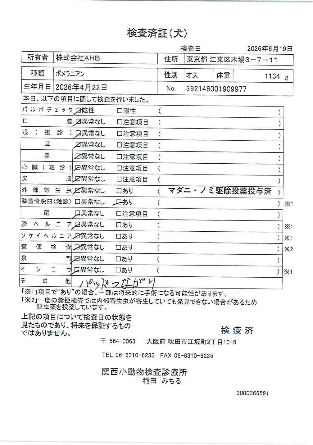 ポメラニアン