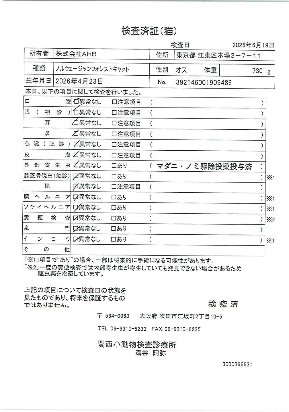 ノルウェージャンフォレストキャット