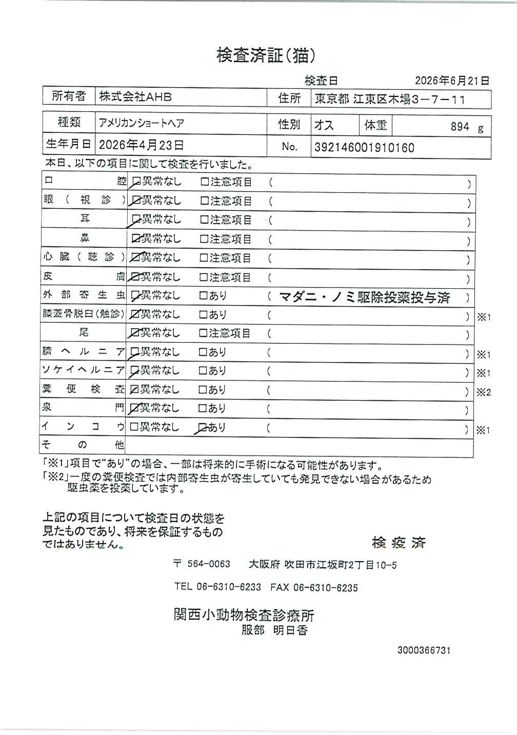 アメリカンショートヘア