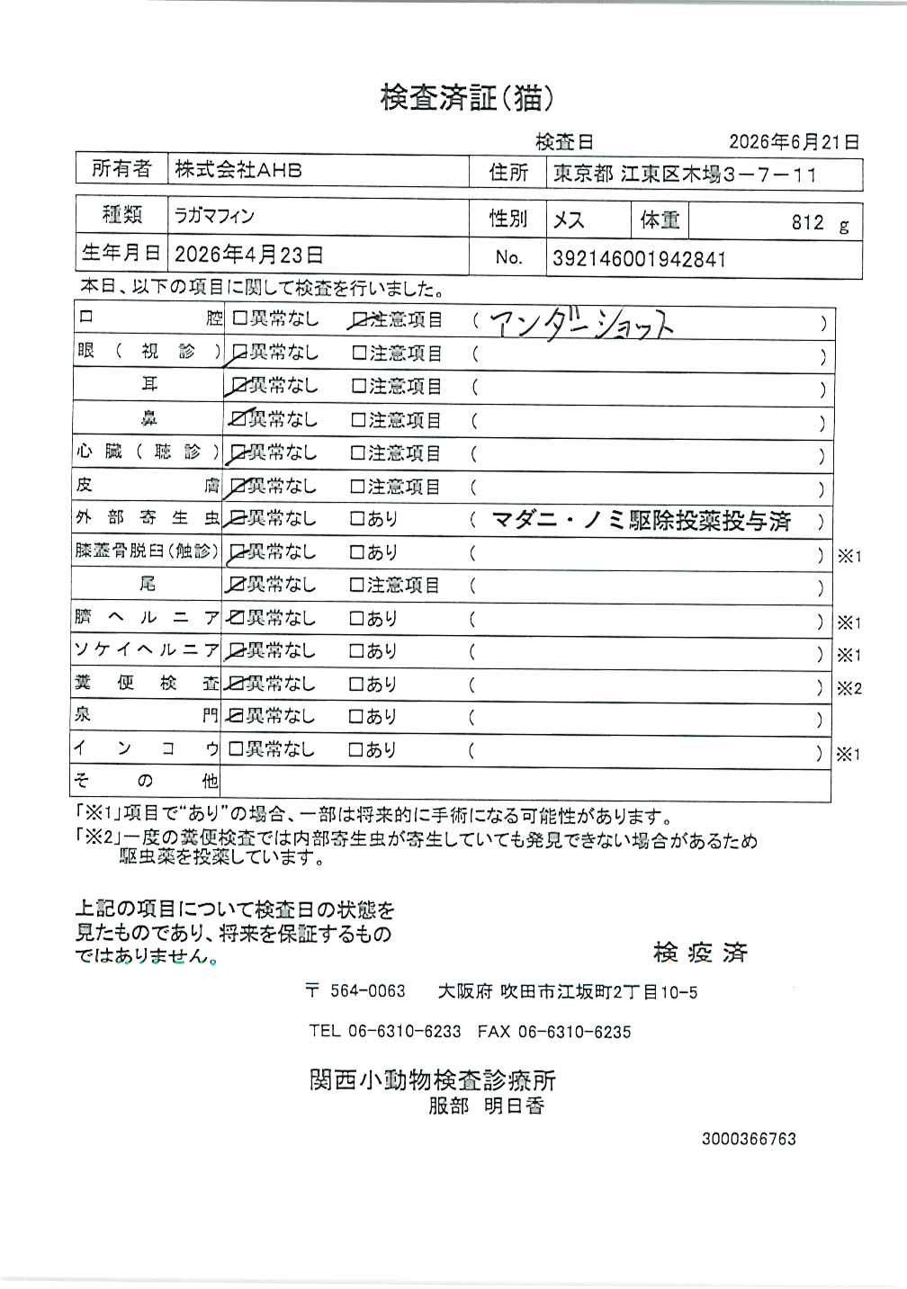 ラガマフィン