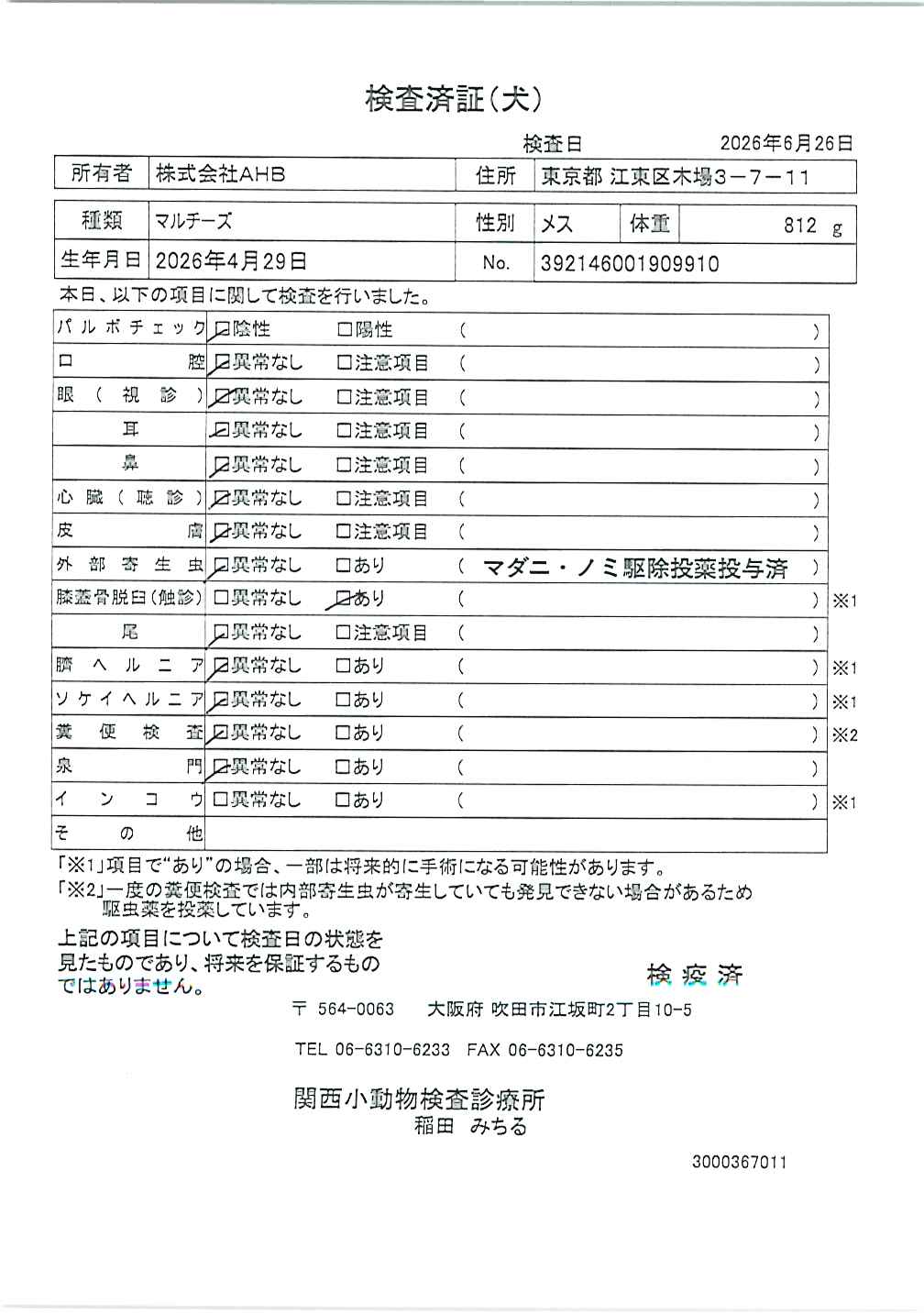 マルチーズ