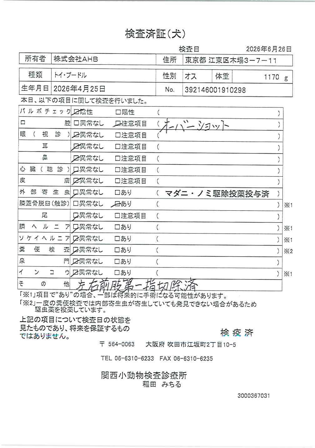 トイ・プードル