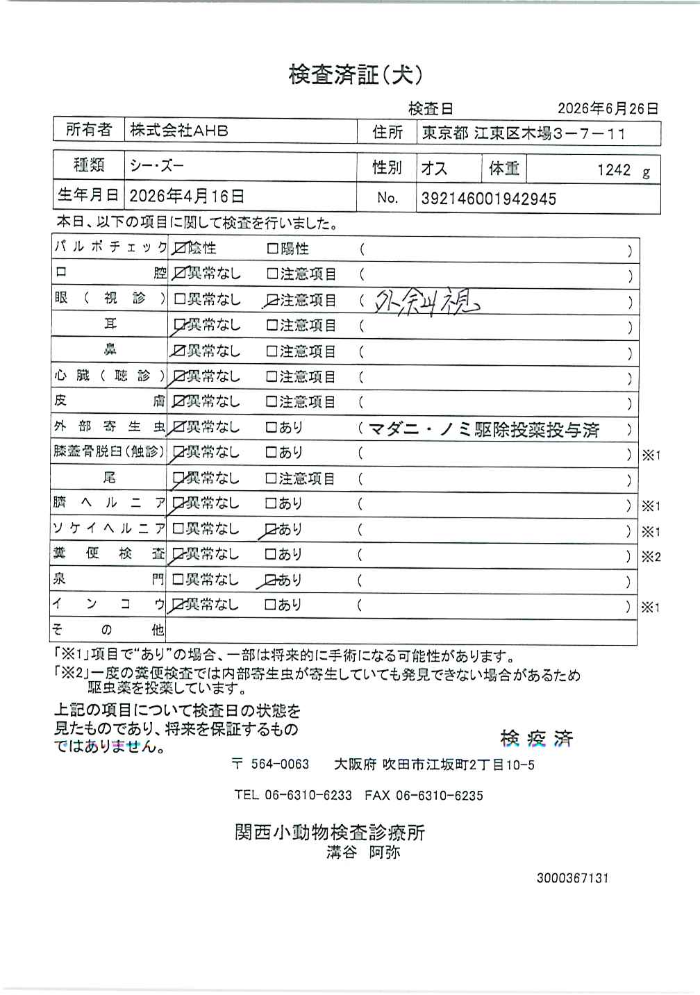 シー・ズー