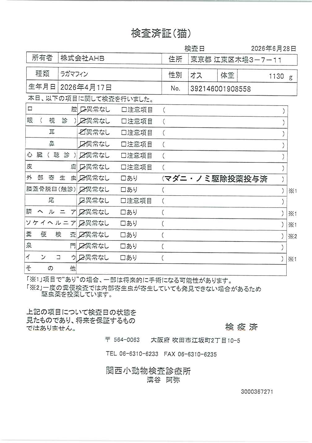 ラガマフィン