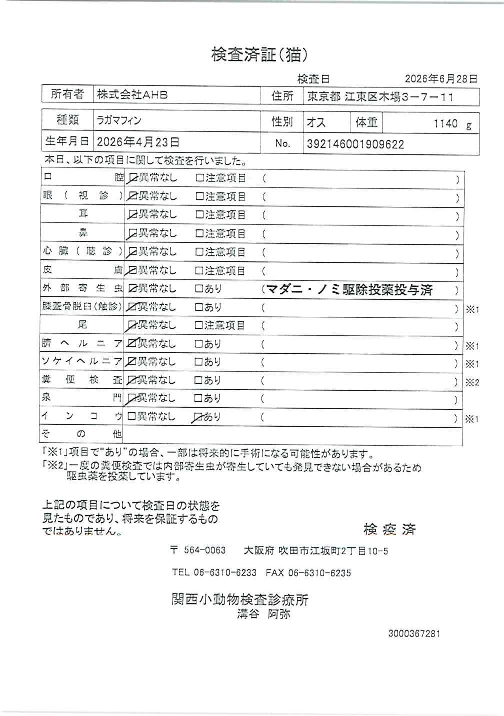 ラガマフィン