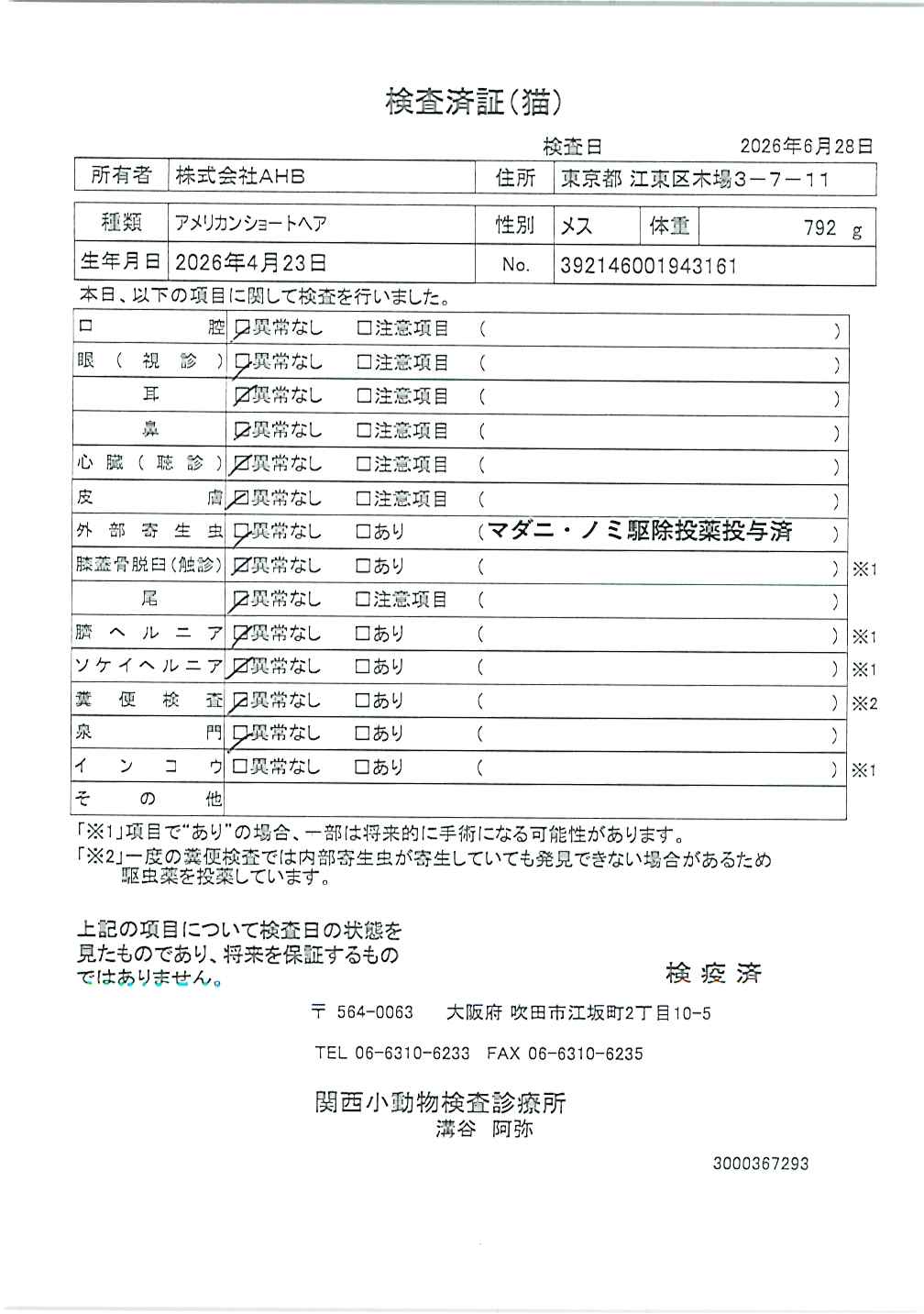アメリカンショートヘア