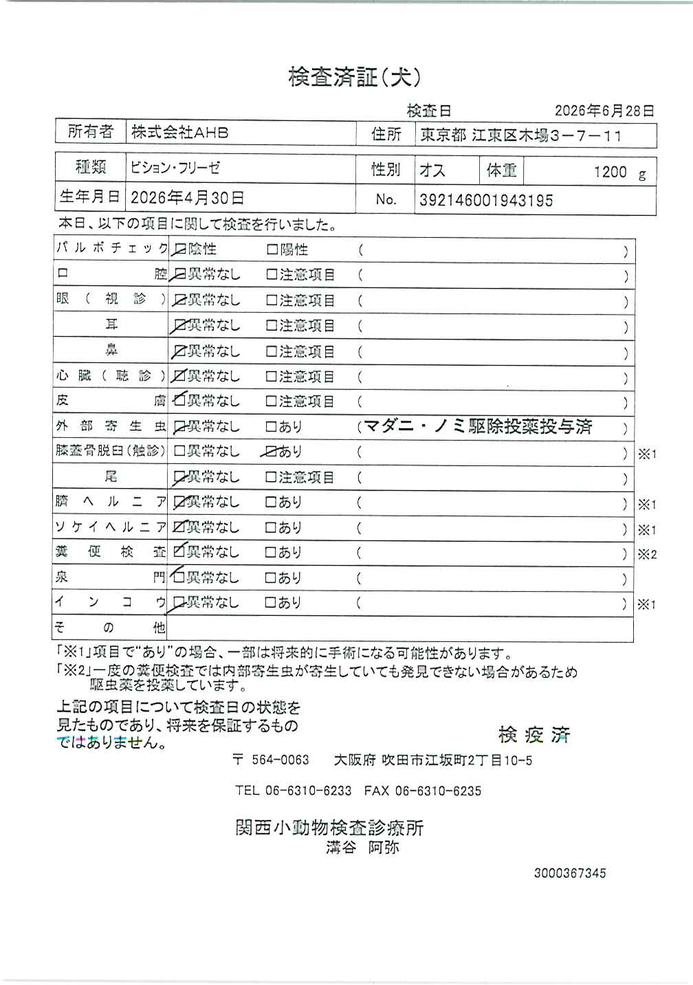 ビション・フリーゼ