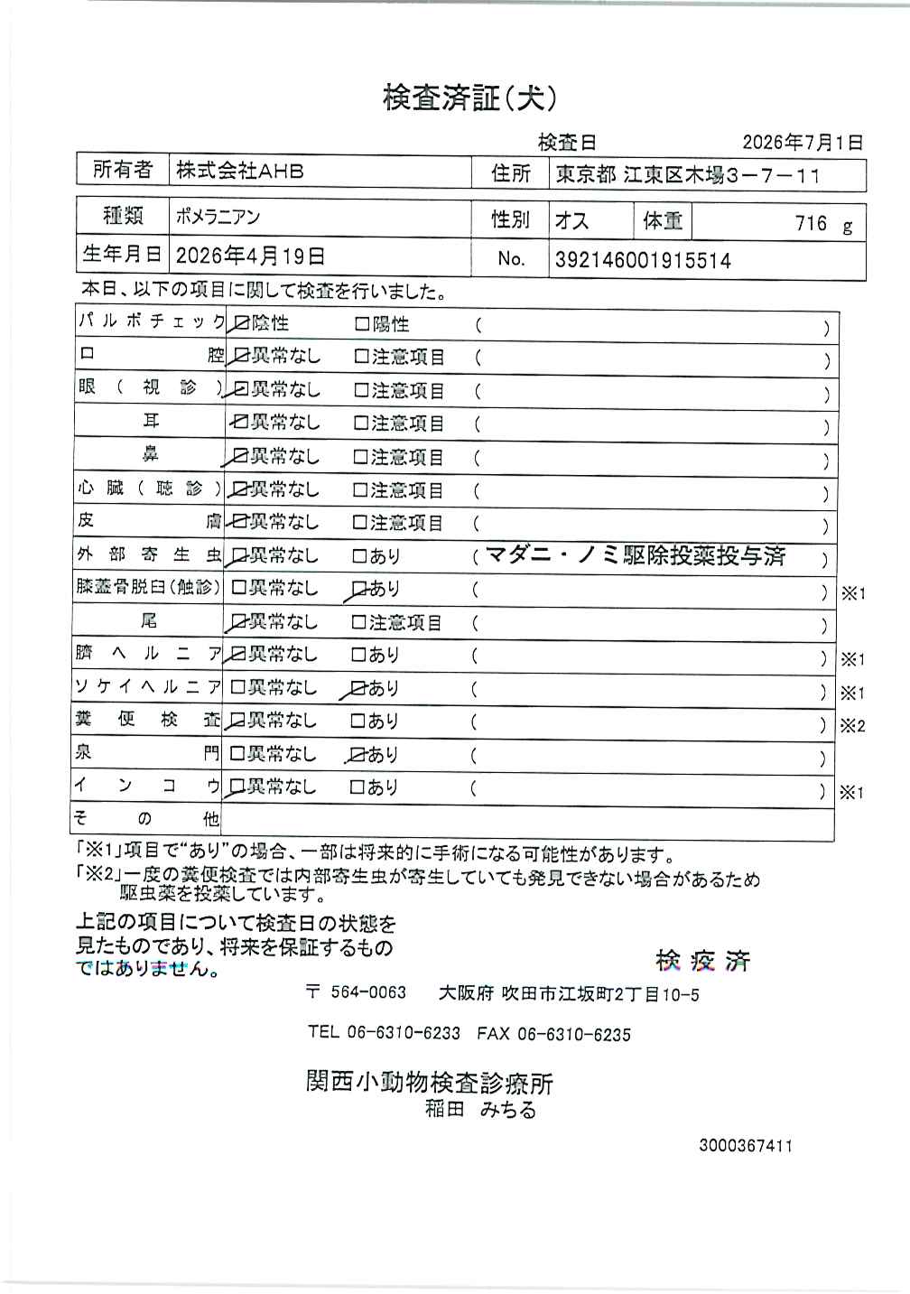 ポメラニアン