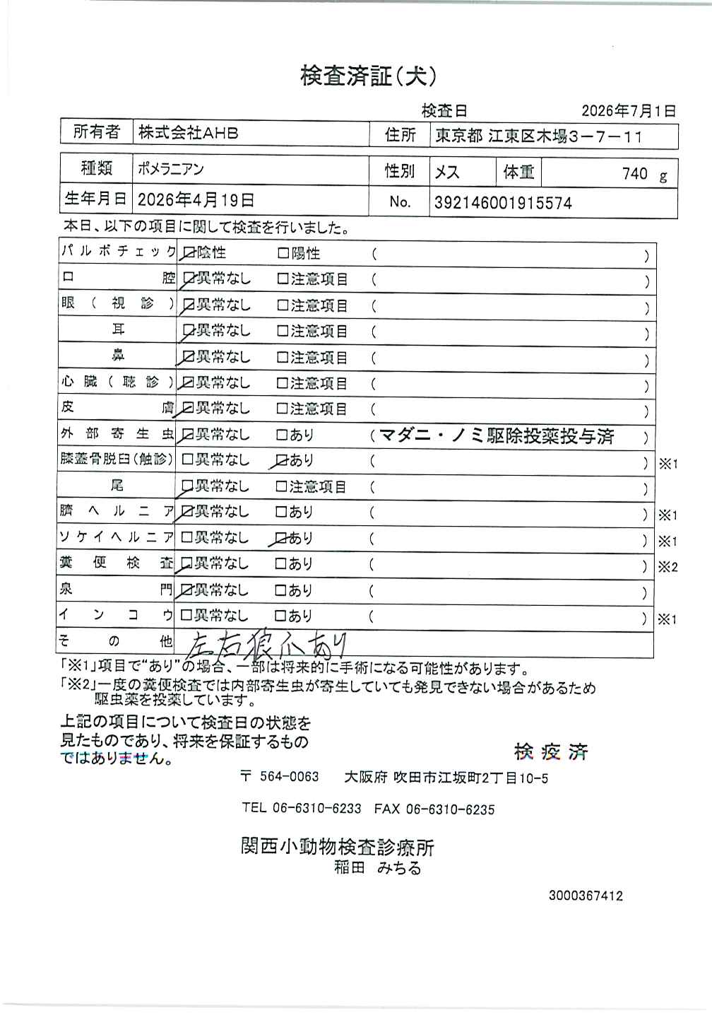 ポメラニアン