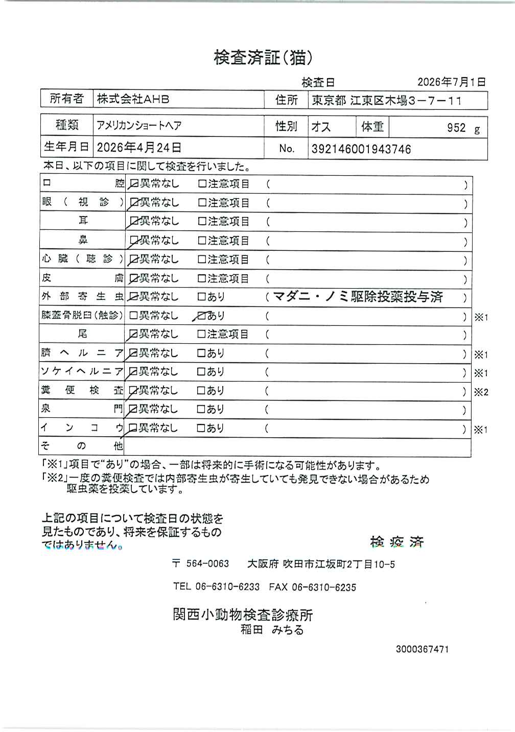 アメリカンショートヘア