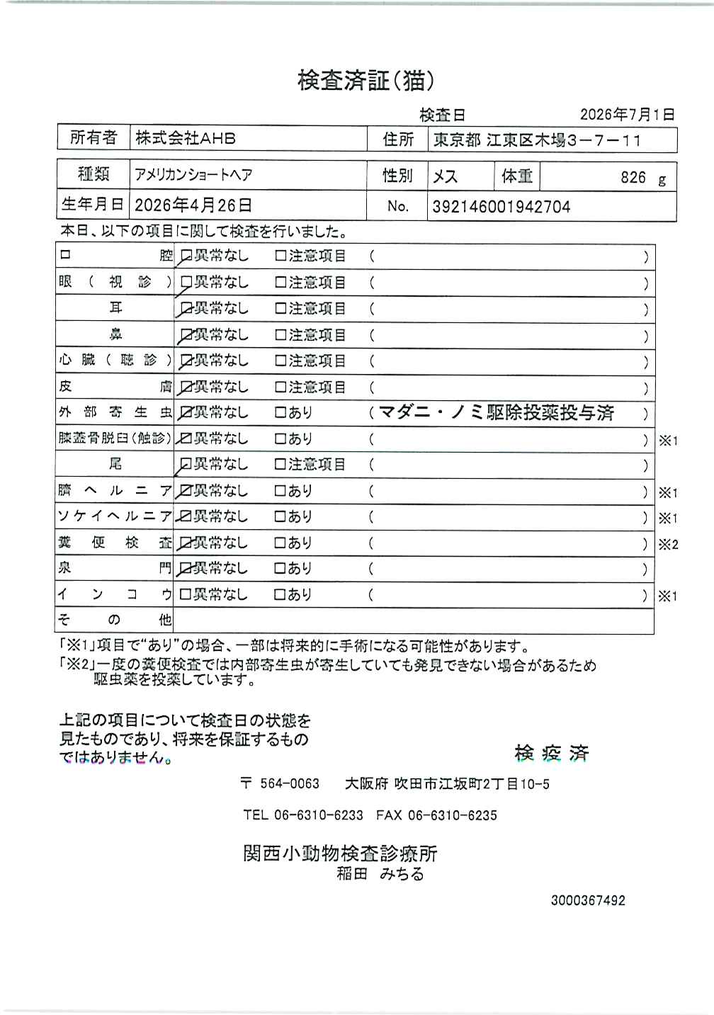 アメリカンショートヘア