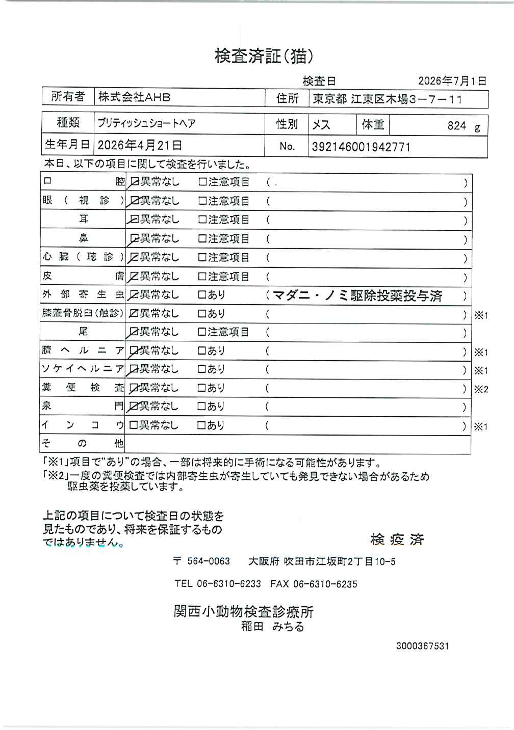 ブリティッシュショートヘア