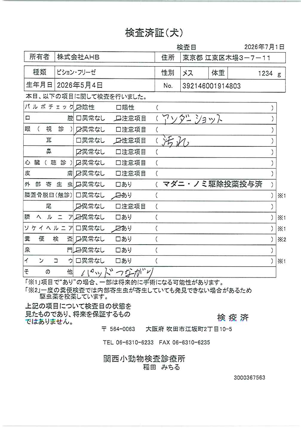 ビション・フリーゼ