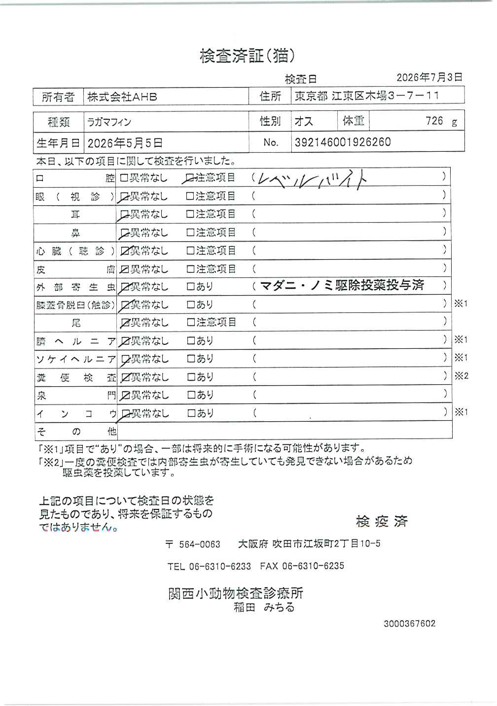 ラガマフィン
