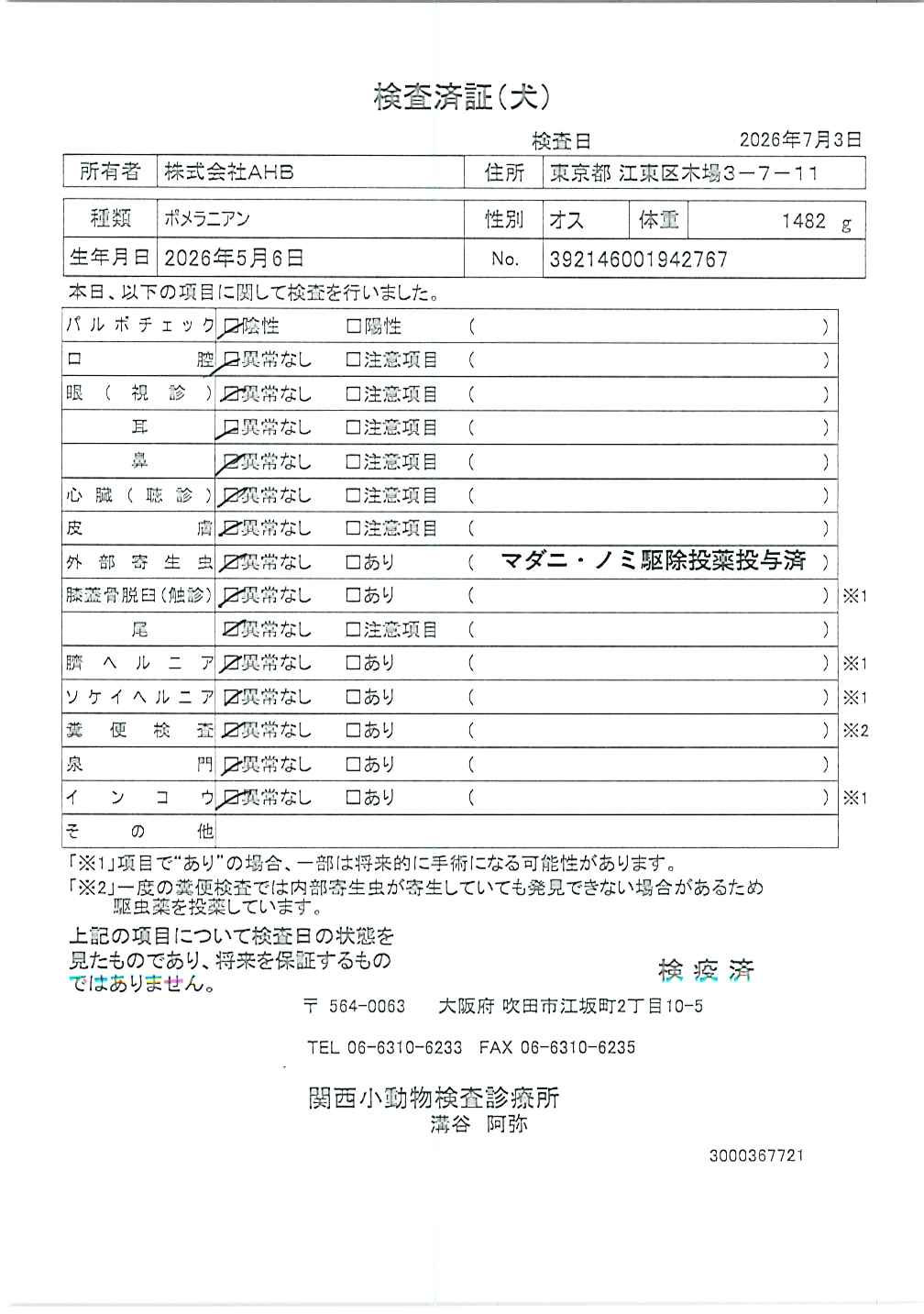 ポメラニアン