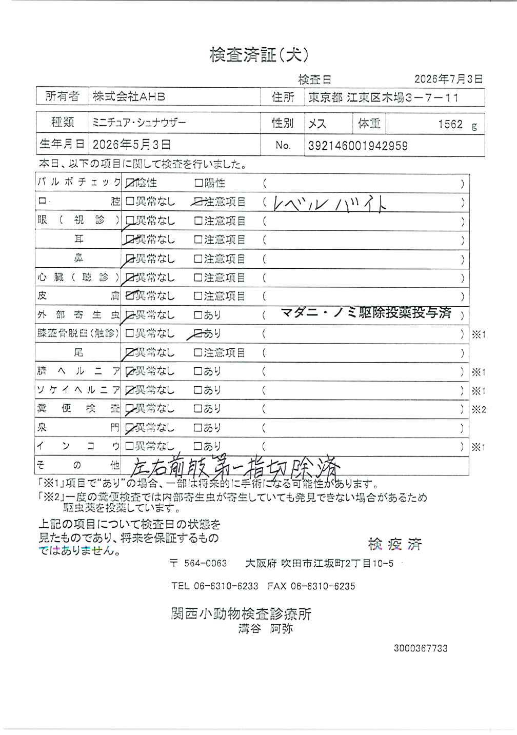 ミニチュア・シュナウザー